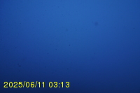 Img20250611_031318.jpg