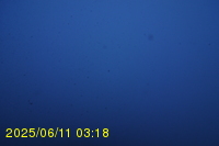 Img20250611_031818.jpg
