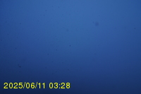 Img20250611_032818.jpg