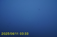Img20250611_033318.jpg