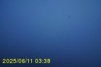 Img20250611_033818.jpg