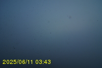 Img20250611_034318.jpg
