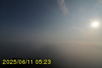 Img20250611_052319.jpg