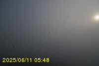 Img20250611_054819.jpg