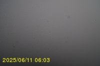 Img20250611_060319.jpg