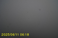 Img20250611_061819.jpg
