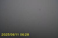 Img20250611_062819.jpg