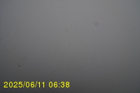 Img20250611_063819.jpg