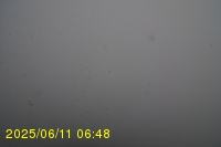 Img20250611_064819.jpg