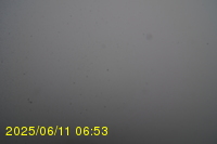 Img20250611_065319.jpg