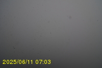 Img20250611_070319.jpg