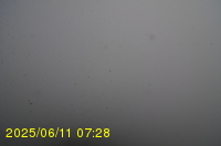Img20250611_072819.jpg