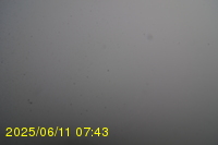 Img20250611_074319.jpg