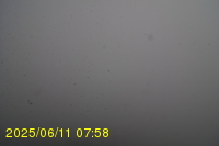 Img20250611_075819.jpg