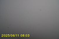 Img20250611_080319.jpg