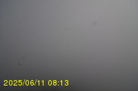 Img20250611_081319.jpg