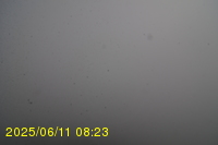 Img20250611_082319.jpg