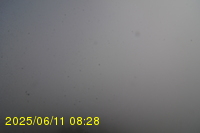 Img20250611_082819.jpg