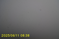 Img20250611_083819.jpg