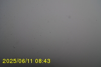 Img20250611_084319.jpg