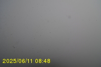 Img20250611_084819.jpg