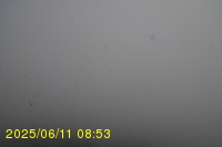 Img20250611_085319.jpg
