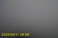 Img20250611_085819.jpg