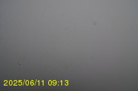 Img20250611_091319.jpg