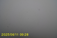 Img20250611_092819.jpg