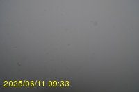 Img20250611_093319.jpg