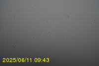 Img20250611_094319.jpg