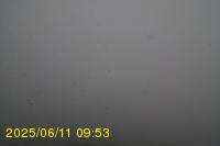 Img20250611_095319.jpg
