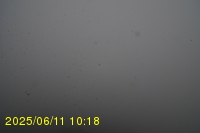 Img20250611_101819.jpg