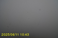 Img20250611_104319.jpg