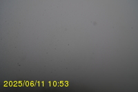 Img20250611_105319.jpg