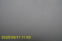 Img20250611_110319.jpg