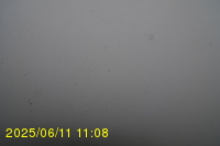Img20250611_110819.jpg
