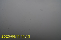 Img20250611_111319.jpg