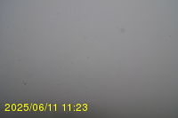Img20250611_112319.jpg
