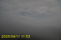 Img20250611_115320.jpg