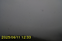 Img20250611_123320.jpg