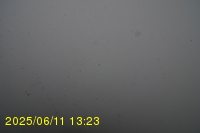 Img20250611_132320.jpg