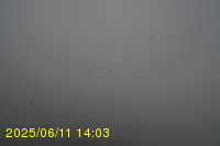 Img20250611_140320.jpg