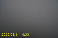 Img20250611_143320.jpg