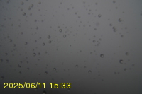 Img20250611_153320.jpg