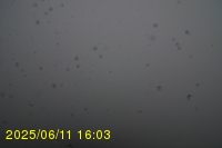 Img20250611_160320.jpg