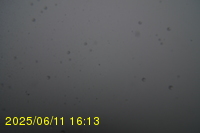 Img20250611_161320.jpg