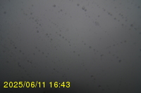 Img20250611_164320.jpg