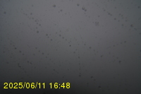 Img20250611_164820.jpg