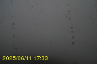 Img20250611_173320.jpg